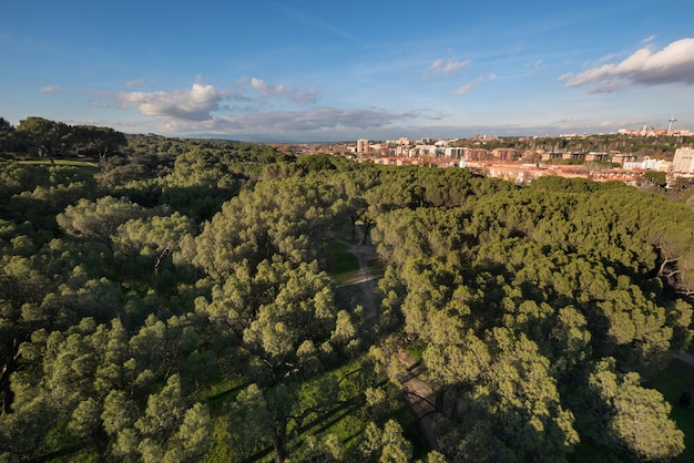 Madrid cityscape aerial view from casa de campo.