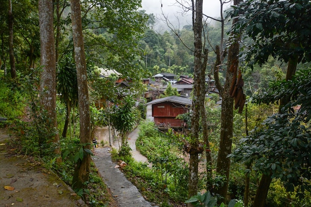 Mae Kampong Village met regen en mist, klein dorpje in de bergen, Chiang Mai, Thailand