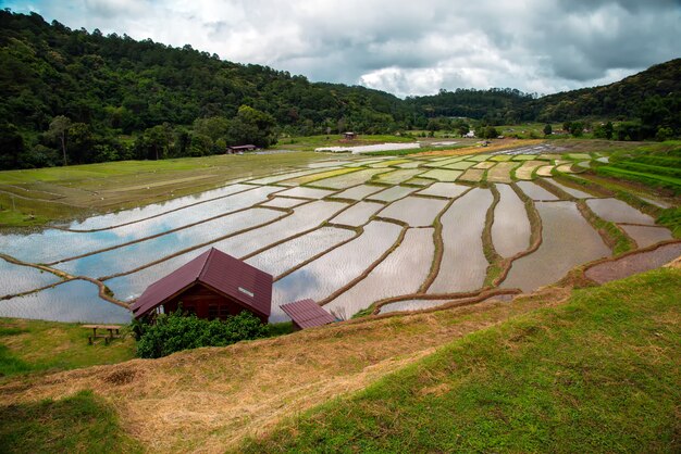 Mae Klang Luang-het rijstterras van het huisverblijf in noordelijk van Thailand in chiangmai Thailand van de dagtijd. Rijstvelden Chom Thong District.