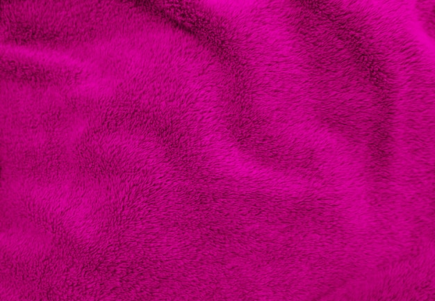 Magenta clean wool texture background light natural sheep wool magenta seamless cotton texture of fluffy fur for designers closeup fragment magenta wool carpet