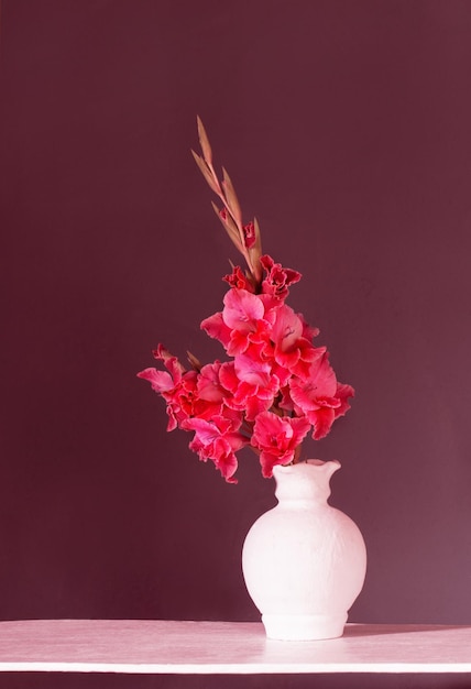 Magenta gladiolen in witte vaas op donkere muur als achtergrond