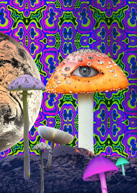 Magic mushrooms collage concept