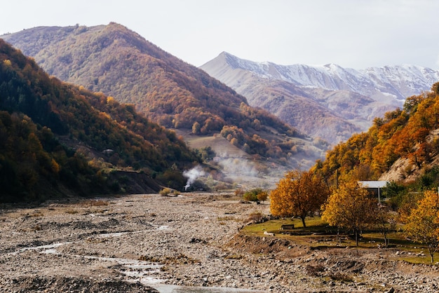 Natura magica, colline di montagna ricoperte di alberi e piante, paesaggio autunnale