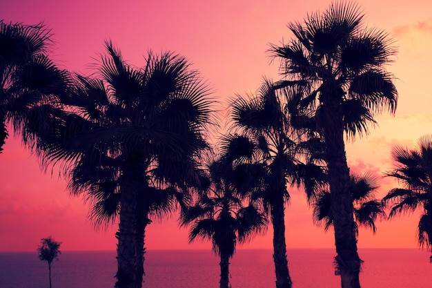 熱帯のビーチに沈む魔法のピンクの夕日