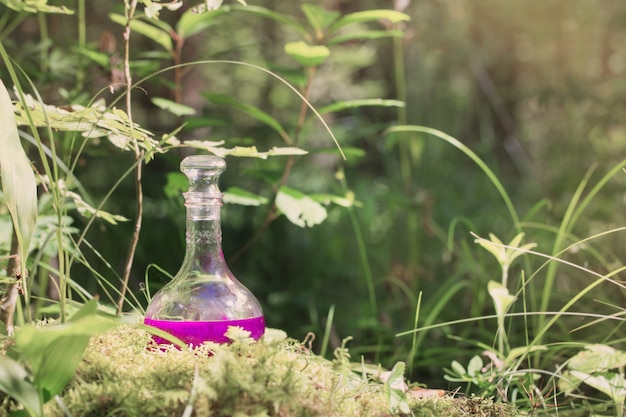 Magic potion in bottle in forest