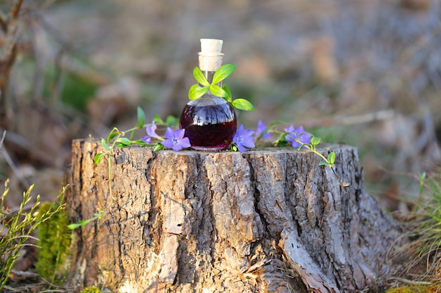  Magic Potion. tincture of wild herbs