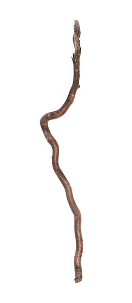 magic staff old wooden walking stick