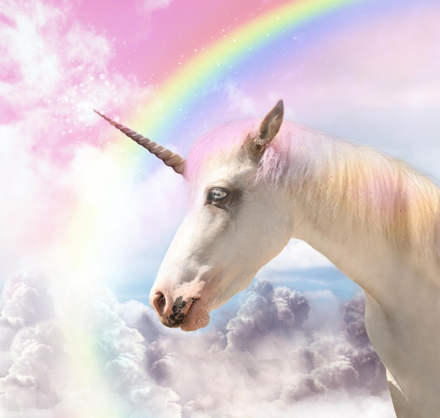 Magic unicorn in beautiful sky with rainbow and fluffy clouds Fantasy world