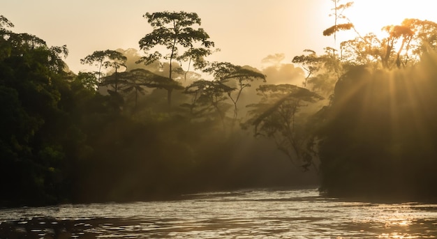 Magical amazon river full of mist