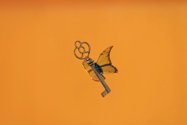 Значение волшебного летающего ключа с крыльями стрекозы