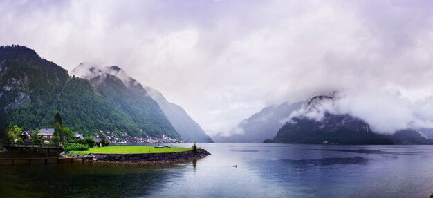 Magical fog in the Swiss Alps