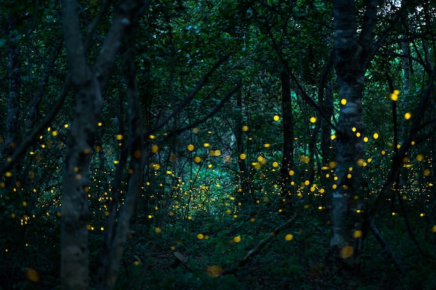 magical forest path with fireflies