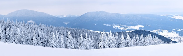 Photo magical panorama of a beautiful hill in the mountains covered by snow