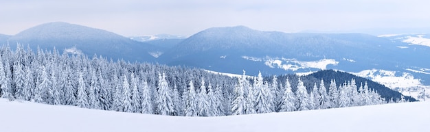 Фото Волшебная панорама красивого холма в горах, покрытых снегом