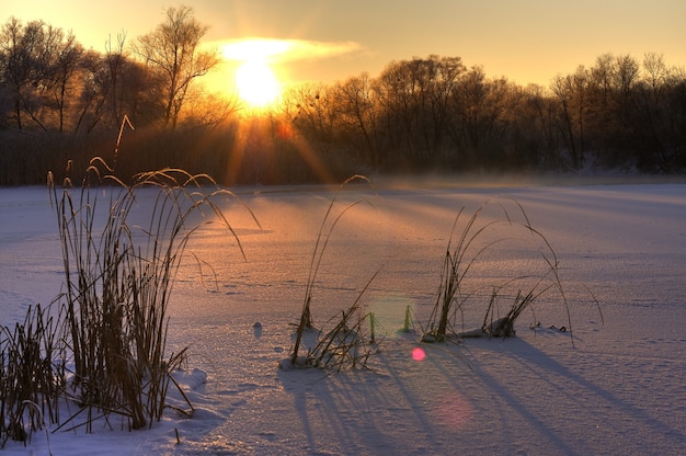 Magical snow landscape a golden sun