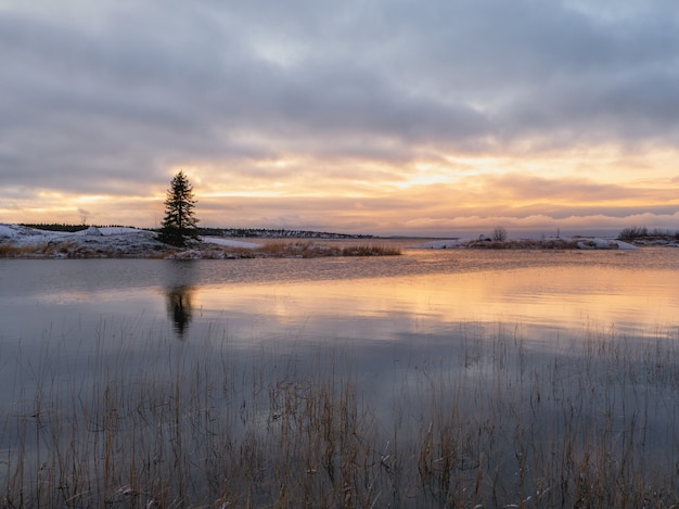 A magical sunset with a lonely Christmas tree on an island with a reflection in the water. The first frosts.