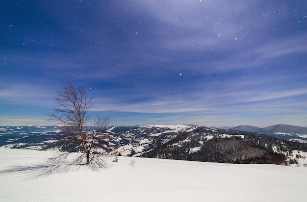 Magico paesaggio invernale con albero innevato cielo notturno vibrante con stelle, nebulosa e galassia astrofoto del cielo profondo