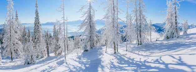 魔法の冬の雪に覆われた木