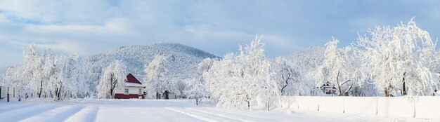 Photo magical winter snow covered tree
