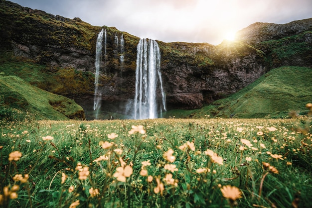 Magische Seljalandsfoss-waterval in IJsland.