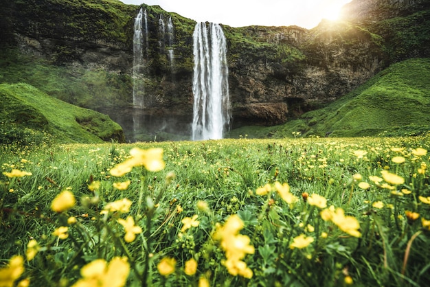 Magische seljalandsfoss-waterval in ijsland.