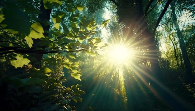 Foto magische zonneschijn op groene boomtoppen in het bos generatieve ai