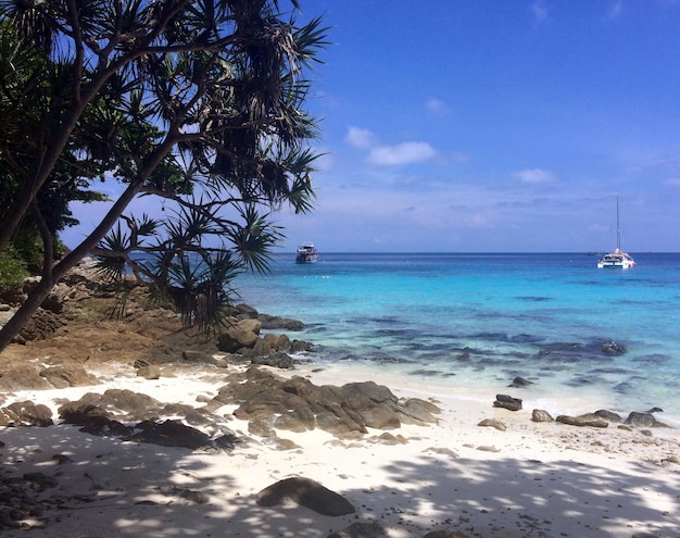 A magnificent paradise beach in Thailand on the island of Phuket High quality photo