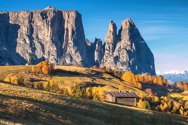 Dolomites의 웅장한 풍경. Alpe di Siusi의 가을. 이탈리아