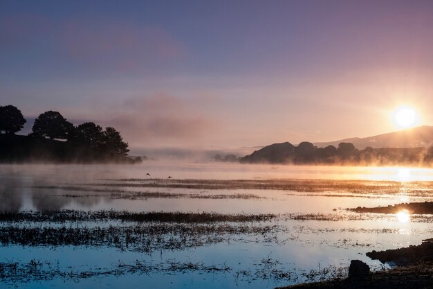 Magnificent sunset in the landscape of the swamps.