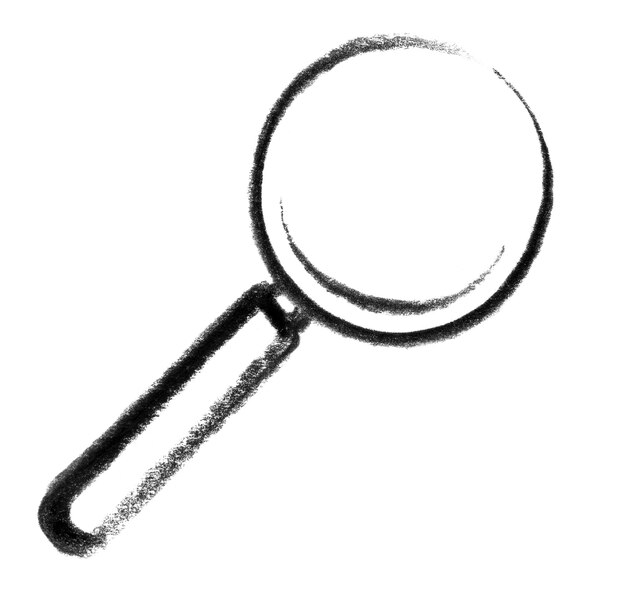 magnifier icon