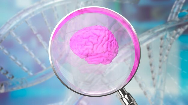 The magnifying glass and Brain for sci or medical Concept 3d renderingxA