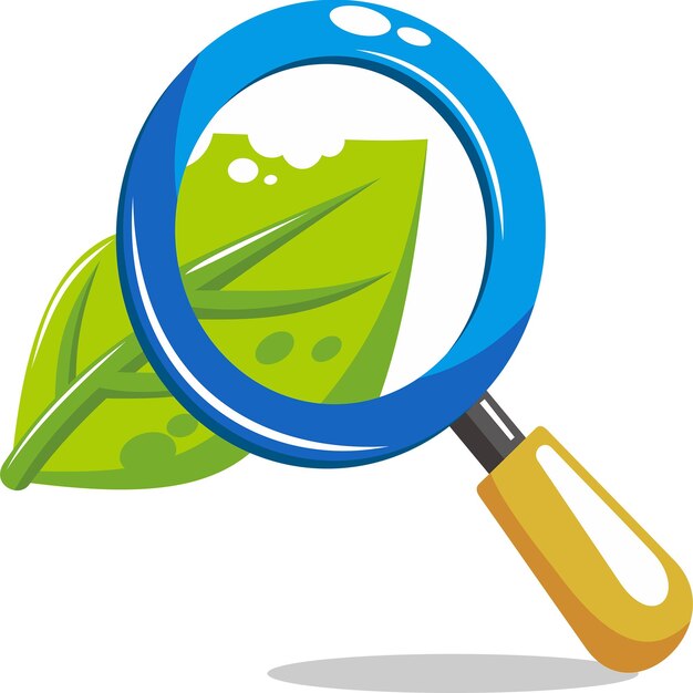 magnifying glass in front of green leave