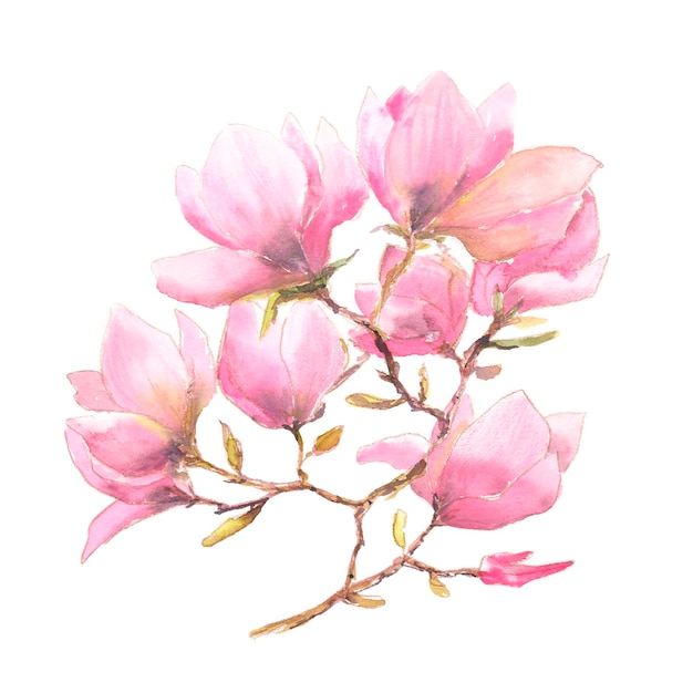 Magnolia flowers Pink watercolor bouquet Floral greeting card. Wedding invitation floral design