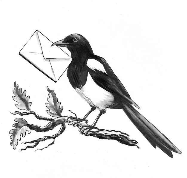 写真 木の枝に手紙を持つカササギの鳥。インク白黒描画