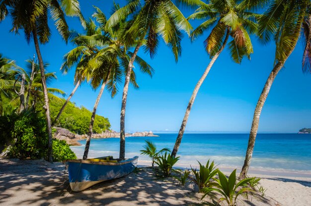 Mahe seychelles tropical beach with palm trees and a blue ocean anse takamaka beach mahe seychelles