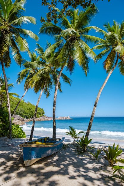 Mahe seychelles a tropical beach with palm trees and a blue ocean at mahe seychelles anse takamaka beach mahe seychelles