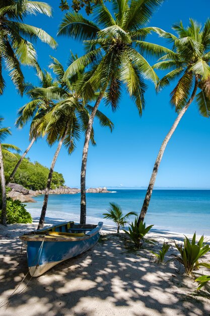 Mahe seychelles tropical beach with palm trees and a blue ocean at mahe seychelles anse takamaka beach mahe seychelles