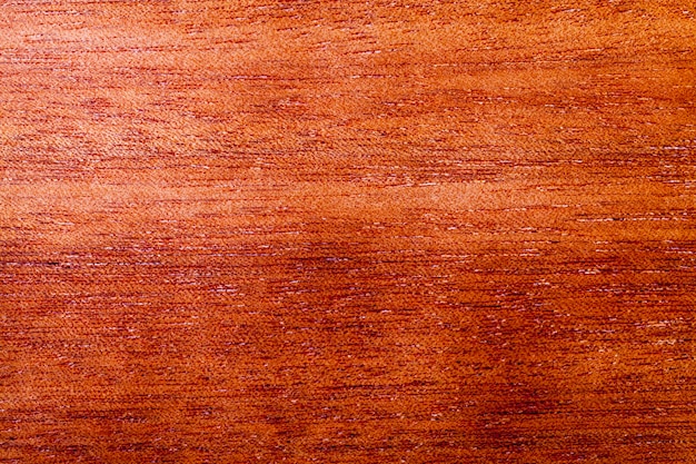 Mahogany wood structure, details and features of mahogany