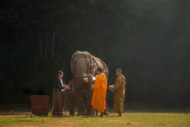 Mahout in Chang Village, Surin-provincie Thailand.