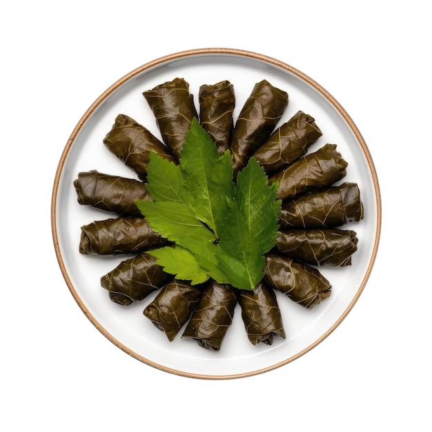 Photo mahshi warak enab stuffed grape leaves egyptian cuisine