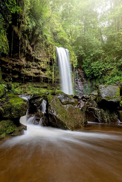 Водопад Махуа в национальном парке Крокер-Рейндж Тамбунан Сабах Борнео Малайзия