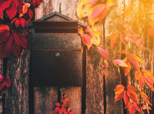 Mailbox on a wooden board fence with autumn leaves Artistic processing