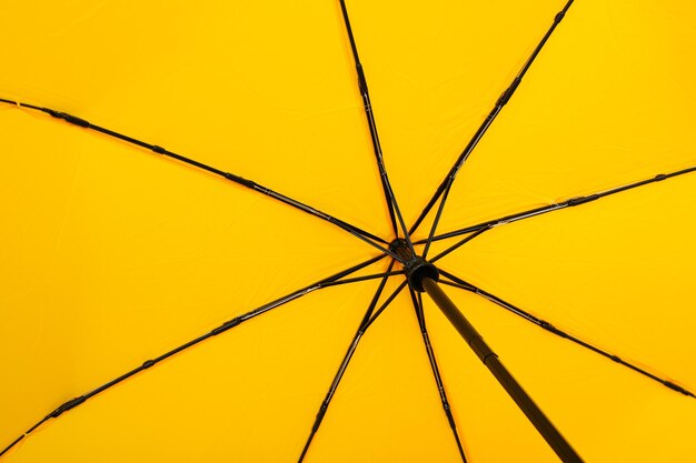 The main attribute in rainy weather - umbrella