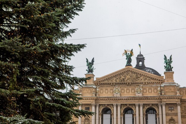 Main christmas tree at lviv city in ukraine opera building on background