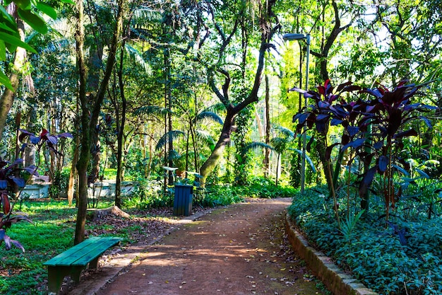 Main entrance to the famous Piqueri Park in Tatuap