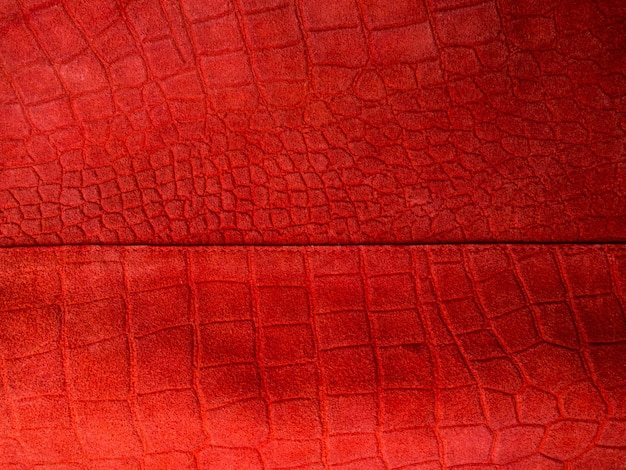 main trendy coral color of the year 2019 colorful concept