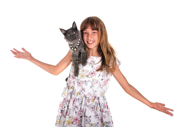 maine coon kitten and child in front of white background