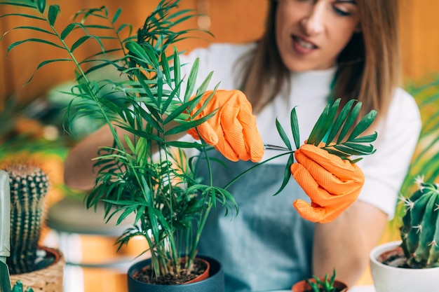 Photo maintaining home garden female gardener cutting dry leaves on plant