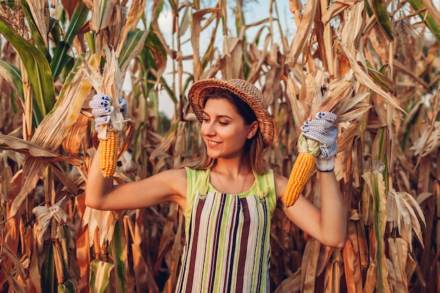 Maïs gewas. Jonge vrouwenlandbouwer het plukken graanoogst. Werknemer bedrijf herfst maïskolven. Landbouw en tuinieren