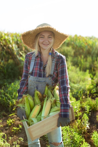 Maïs Jonge boerenvrouw lacht en oogst maïs Een mooie vrouw op de achtergrond van het veld houdt de maïskolven vast Land- en tuinbouw